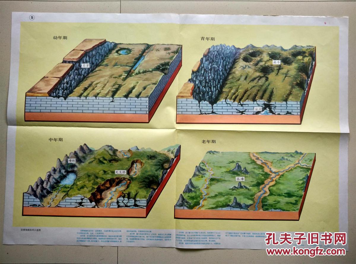 教育挂图——岩溶地貌发育示意图( 一张)