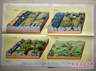 教育挂图——岩溶地貌发育示意图( 一张)
