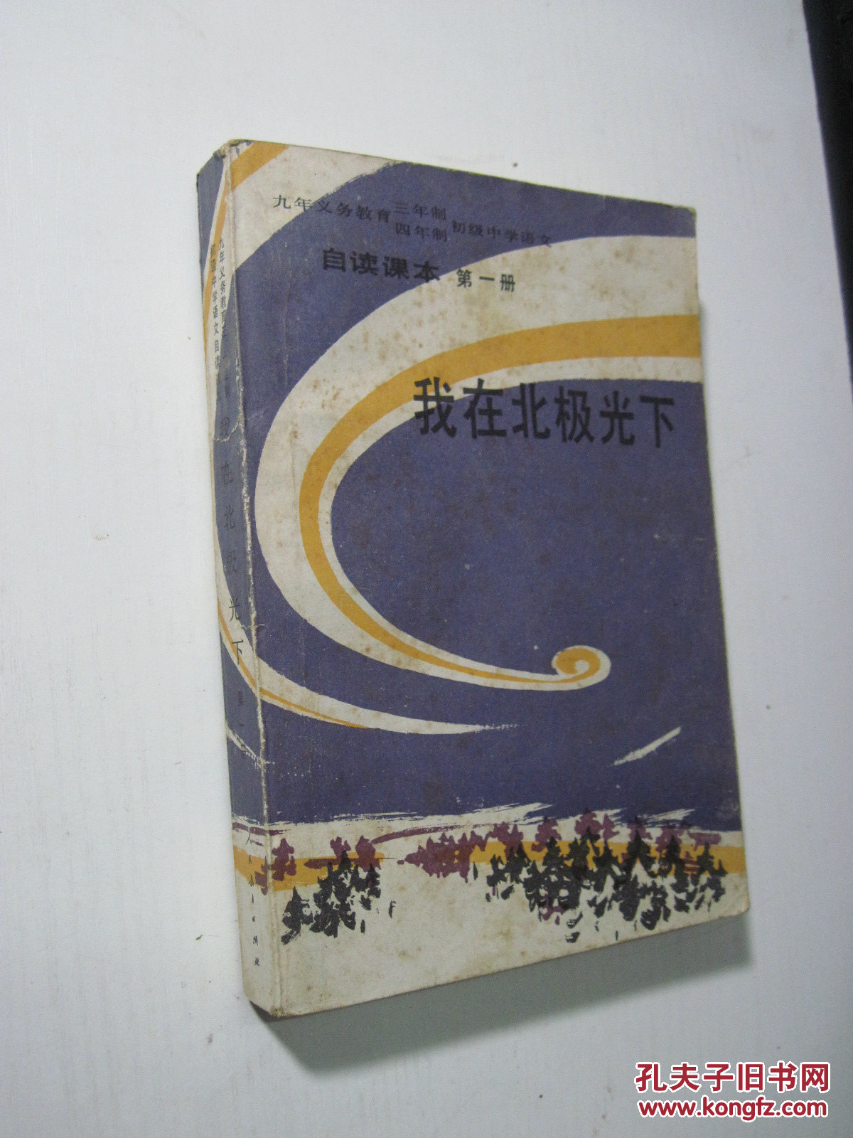 【图】我在北极光下(九年义务教育三、四年制