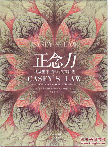 【图】正念力-挑战墨菲定律的凯西法则_价格: