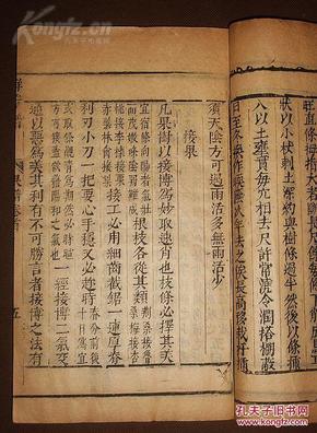 竹桑简谱_格桑梅朵简谱(3)