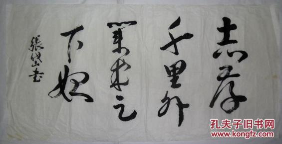 手书真迹书法:张岱草书《志存千里外.》