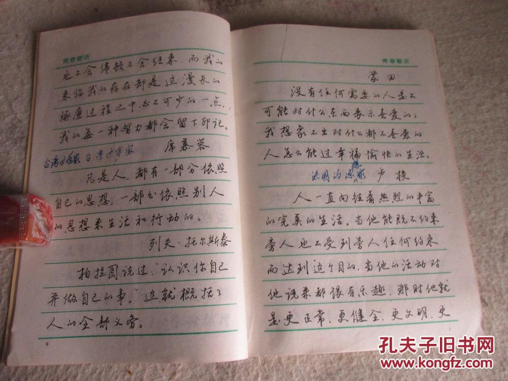 青春寄语 钢笔行书字帖