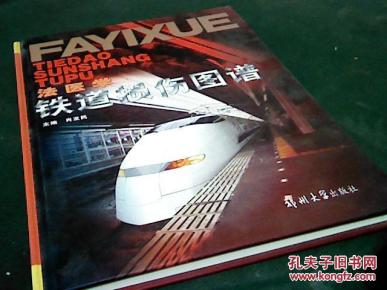法医学铁道损伤 图谱