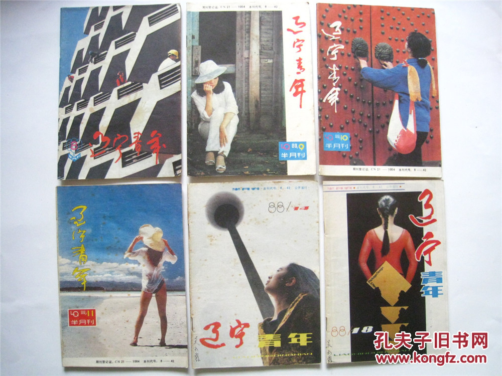 《辽宁青年》1988年第1.3.4.5.6.7.8.9.10.11.14.18.20.21.22.