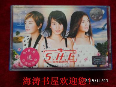 美丽新世界she曲谱_美丽新世界she图片