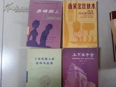 西班牙语文学丛书 多难丽人