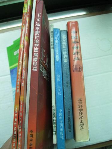 中国平衡针灸  平衡针法临床精要 肩周炎一针疗法 常见病的一针疗法