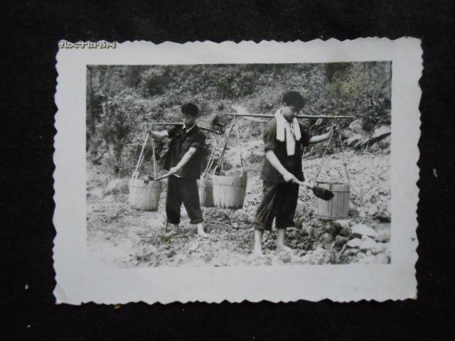 老照片:施肥的下乡知青