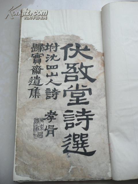 遗人口实 释义_人口普查图片