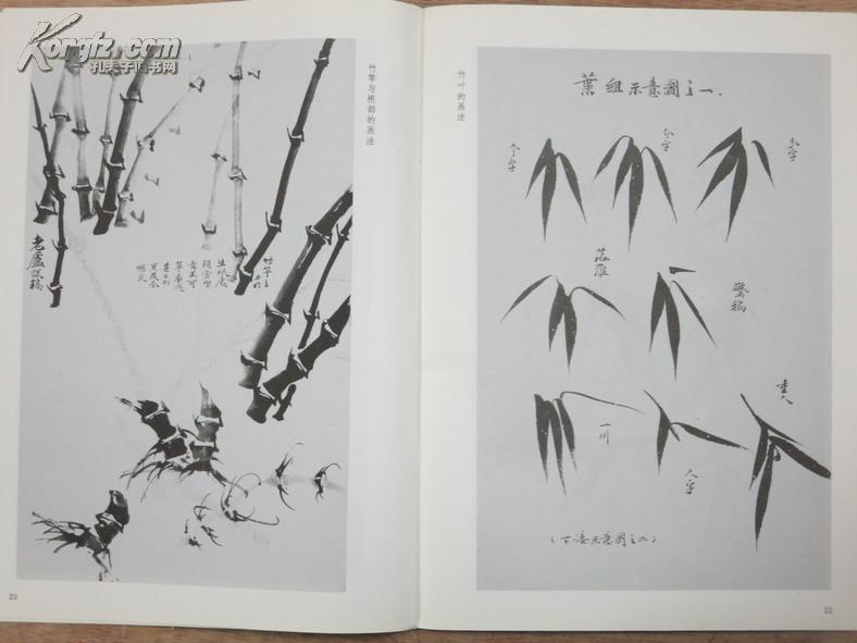 怎样画兰竹兰花竹子画法技法---中国画自学丛书图片