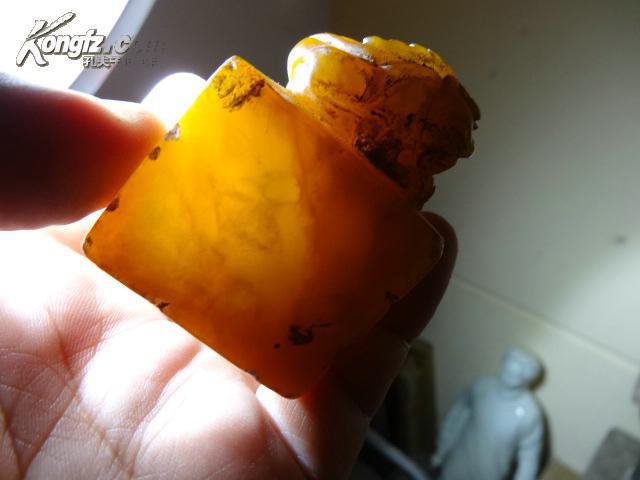 钮约州人口