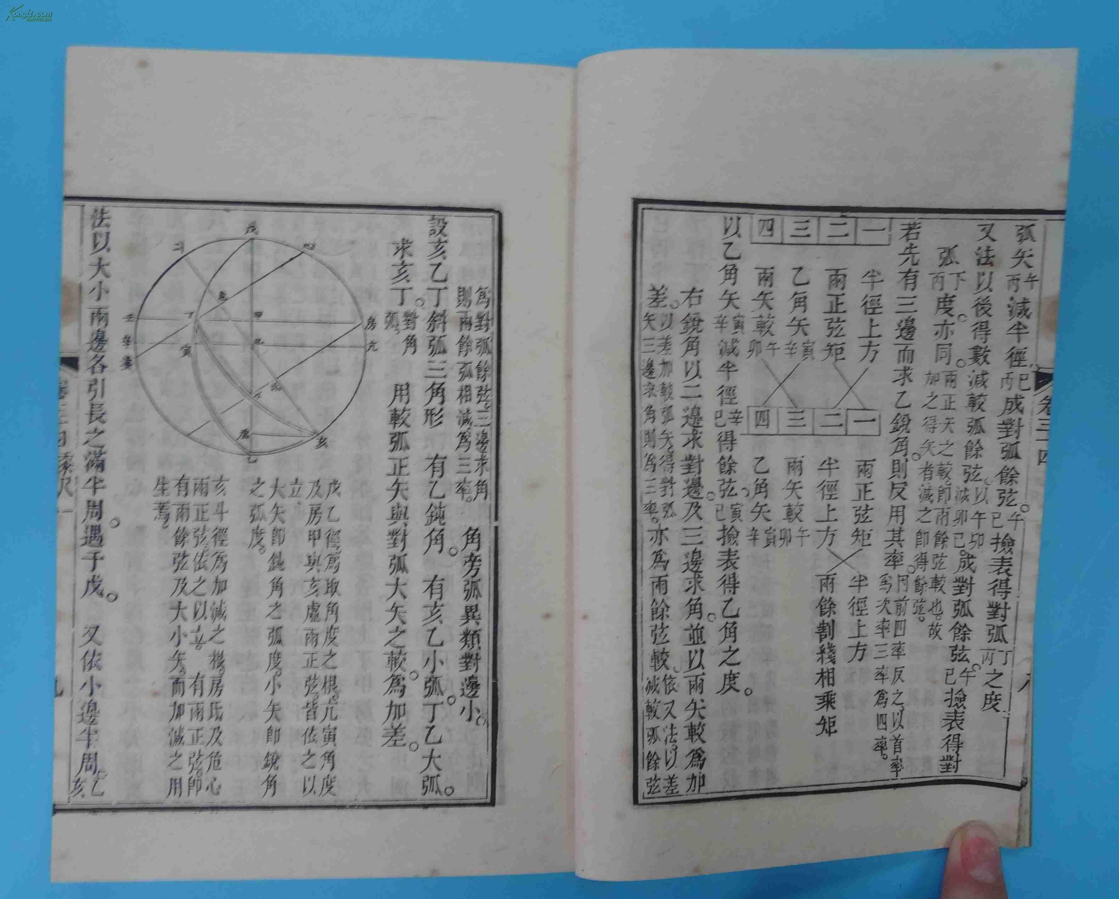 梅氏人口_梅氏利维坦鲸图片(2)