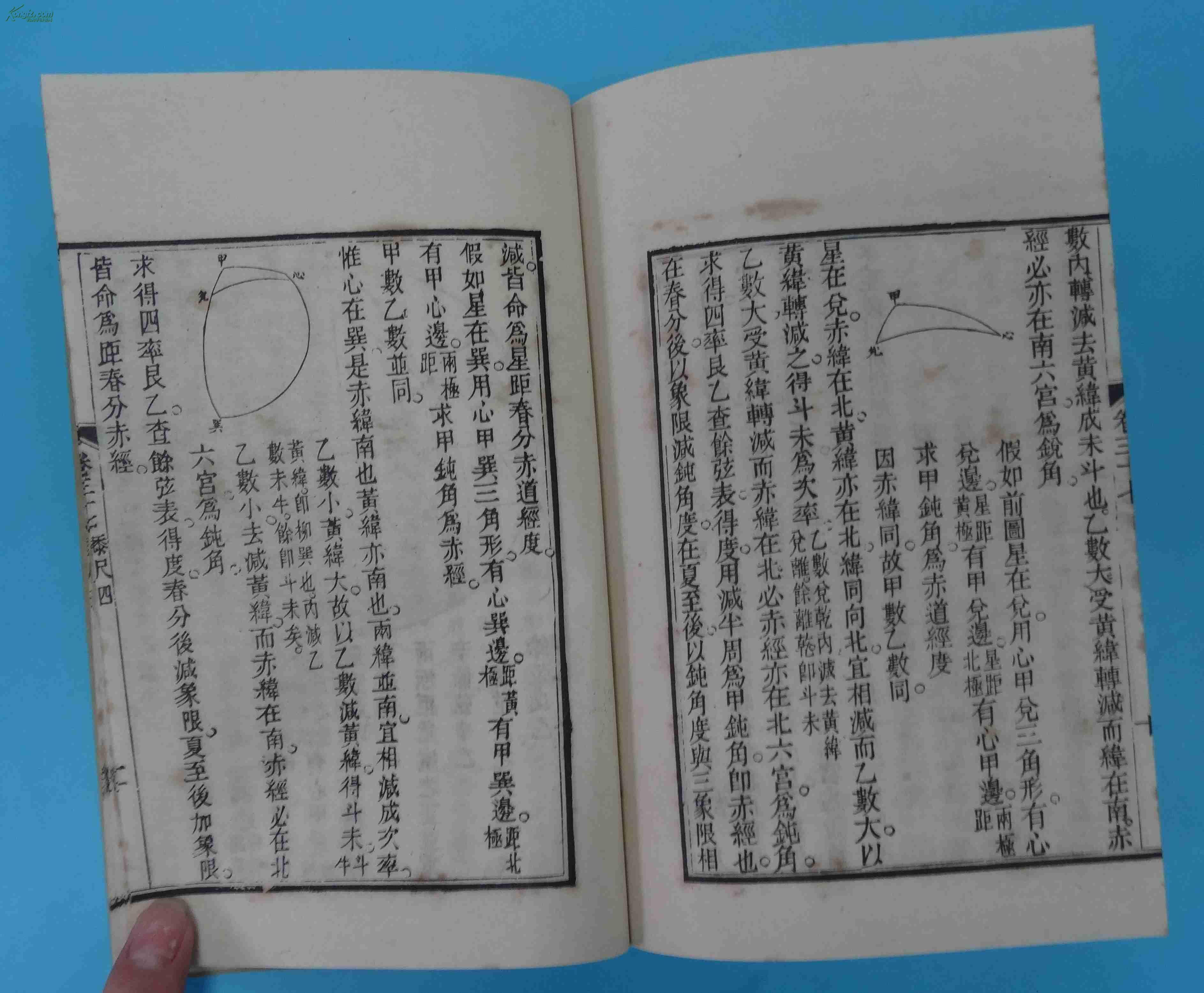 梅氏人口_梅氏利维坦鲸图片(2)