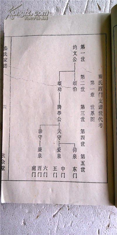 家谱----秦氏家谱【敦馀堂】建湖约文公西门支 16开 284页 1995年版