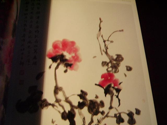 花鸟名家于鲁俊书画册类20开本个人画集