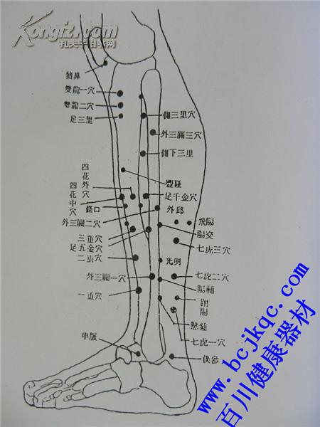 董氏针灸放血疗法台湾繁体版(图3)