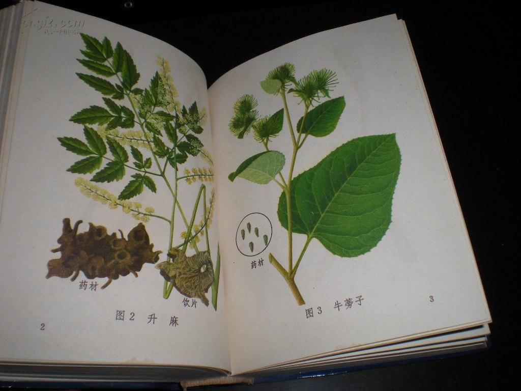 老中药资料-----《常用中草药图谱》!(至少两百幅彩色