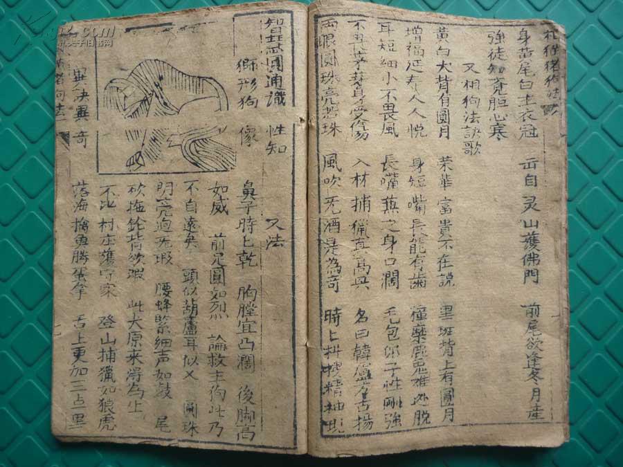《相猫猪狗法诀》*原装全1册*稀见!