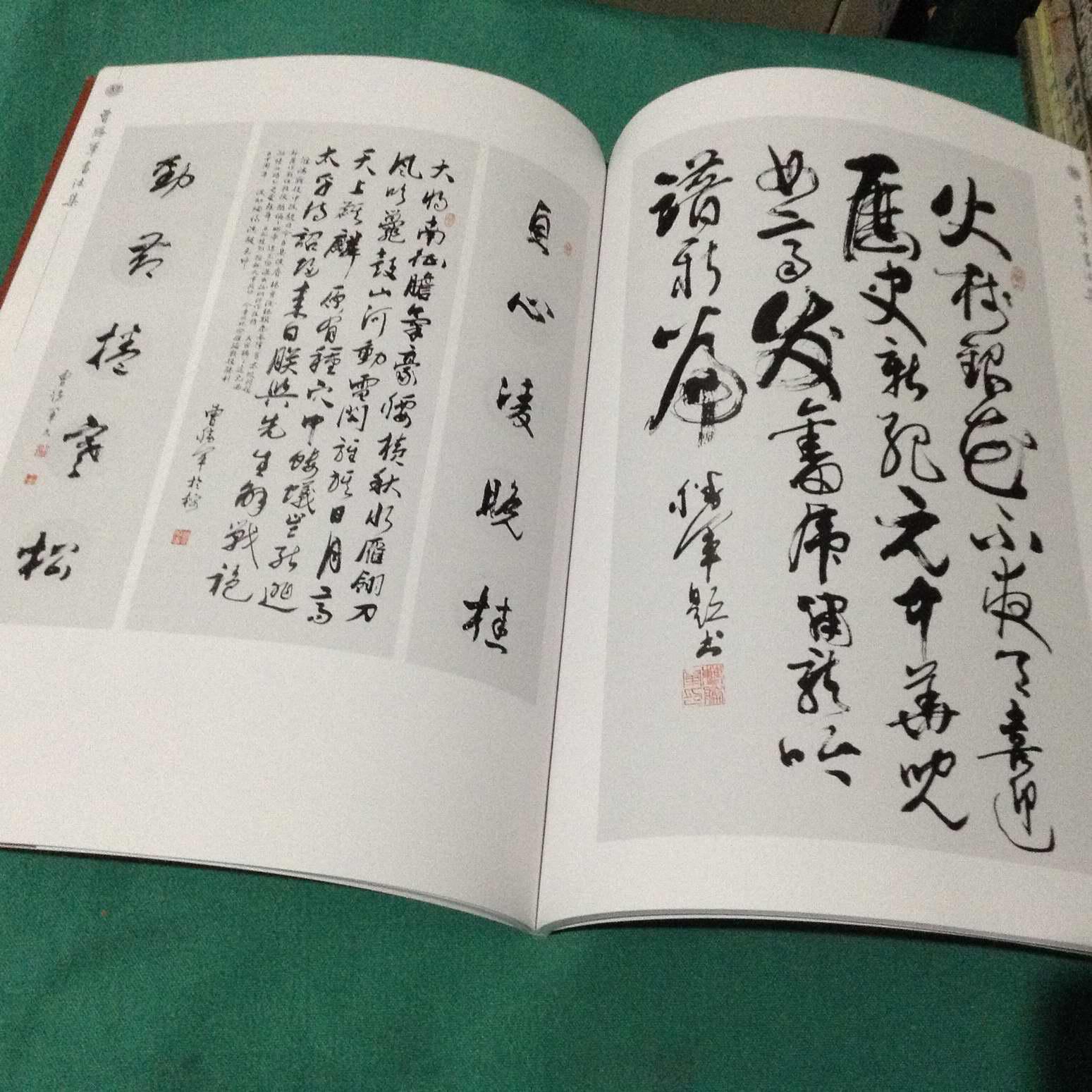 曹胜军书法集