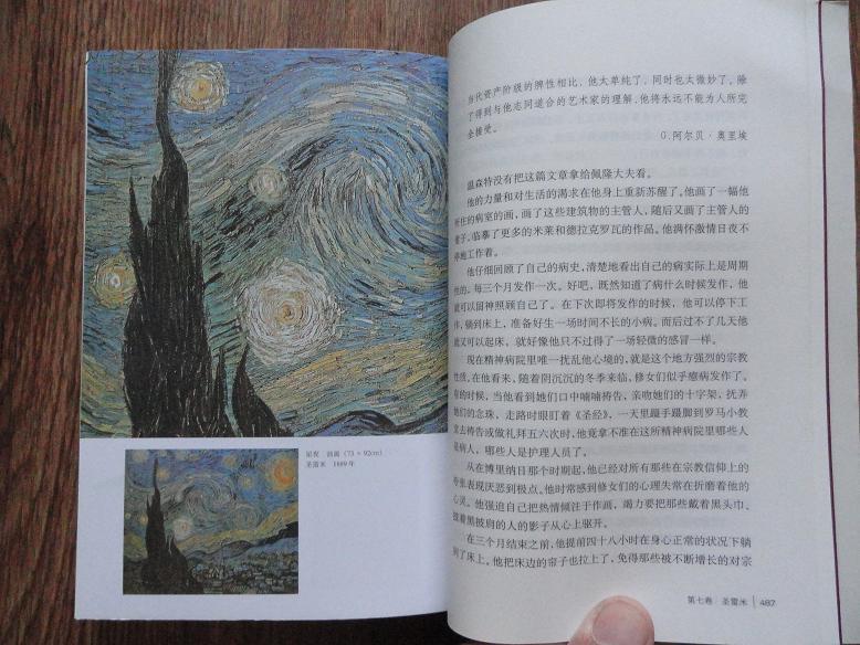 斯通《渴望生活----梵高传》 9.5品 有插图