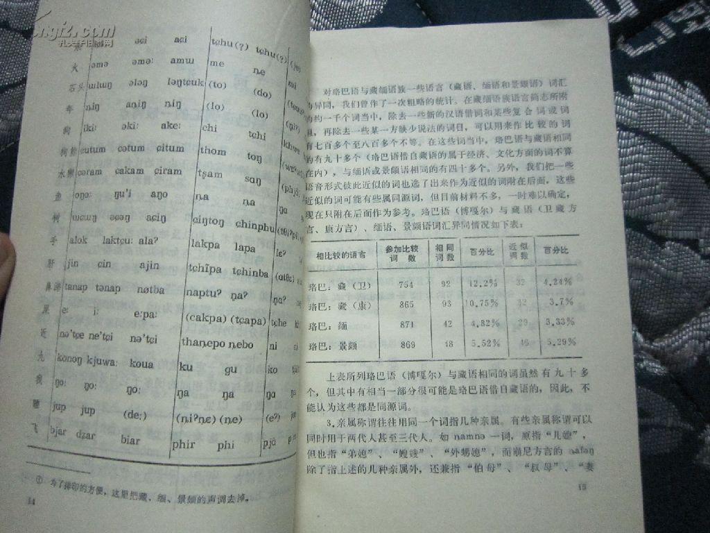 中国少数民族语言简志丛书.珞巴族语言简志(崩尼-博嘎尔语)
