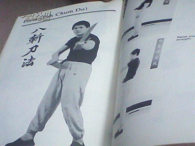 咏春八斩刀法 英文版