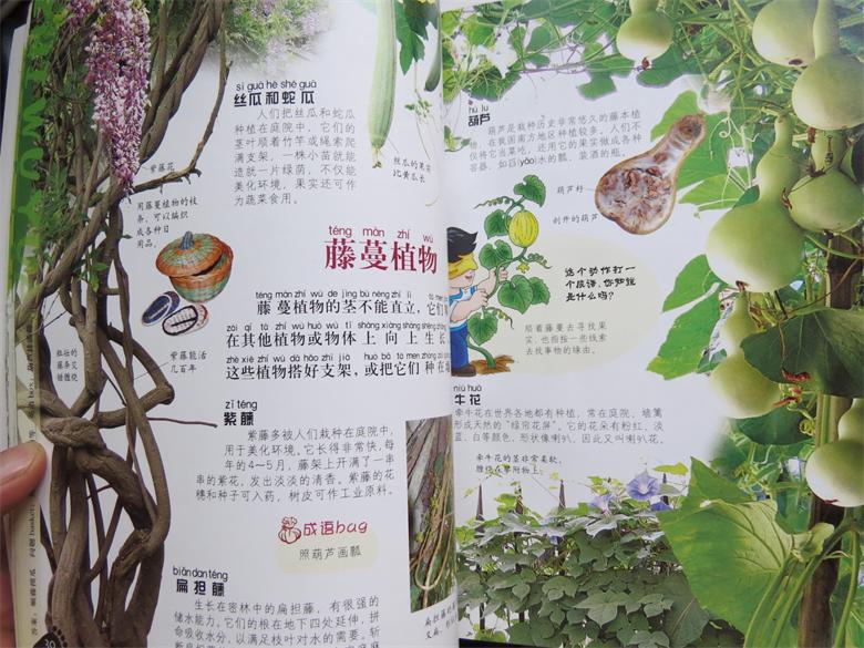 中国儿童百科全书.上学就看:植物园