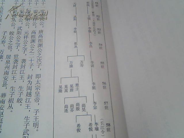 大16开硬精装李氏宗族东泉公后裔家谱2008年8月有51世世民公李世民有