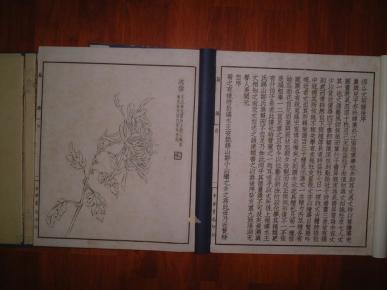 山人简谱(3)