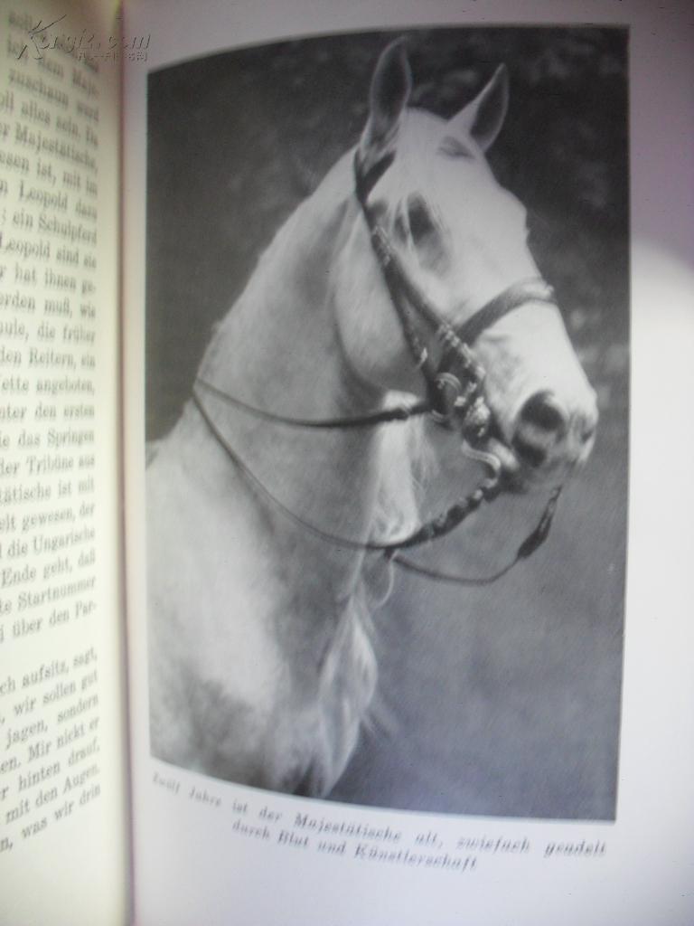 【图】1957年德文原版 Hengst Maestoso Aus