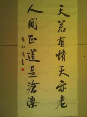 联书法一幅(天若有情天亦老,人间正道是沧桑)