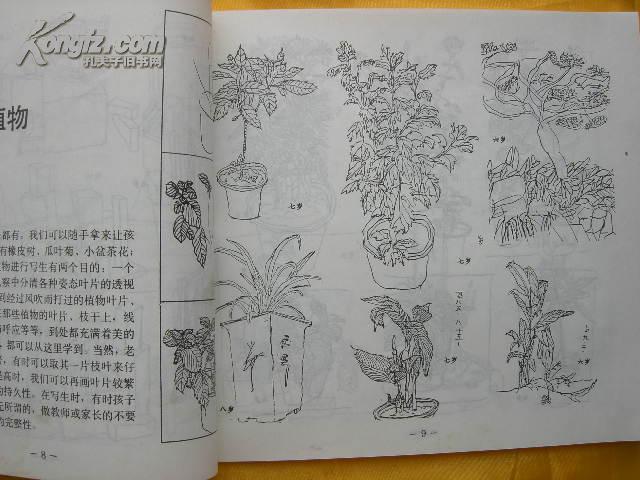 儿童写生教程