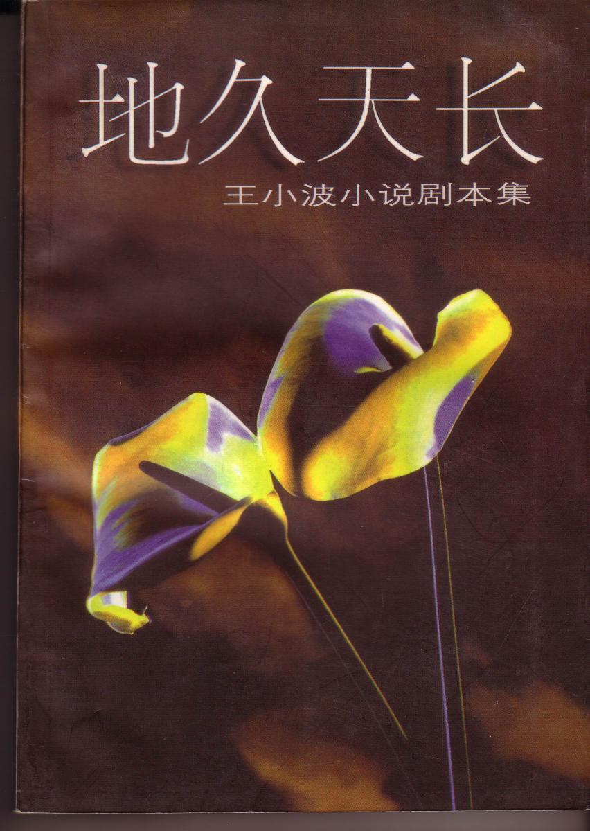 《地久天长 王小波小说剧本集》