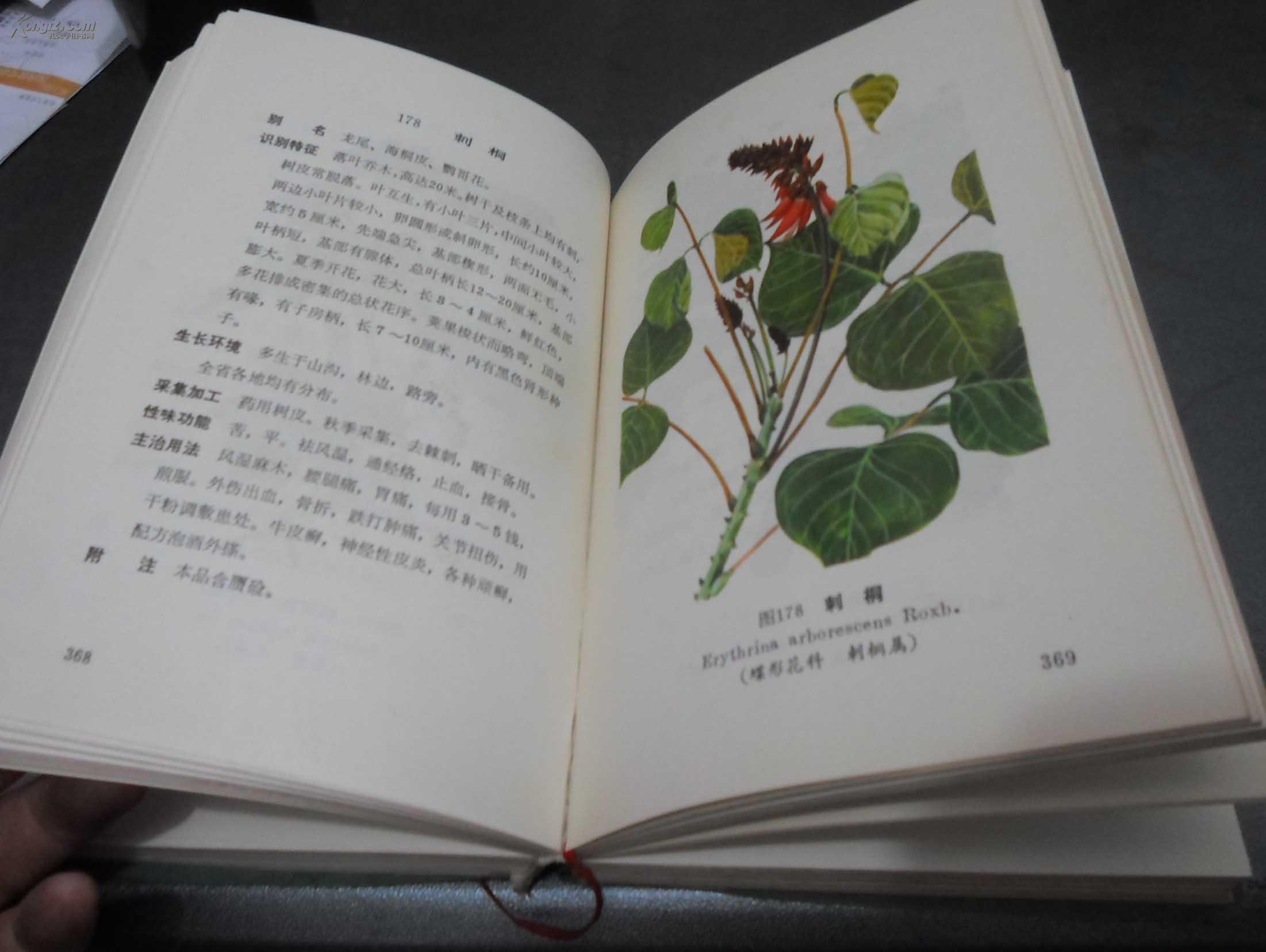 云南中草药选 绿塑料皮32开厚册 【一药一图】