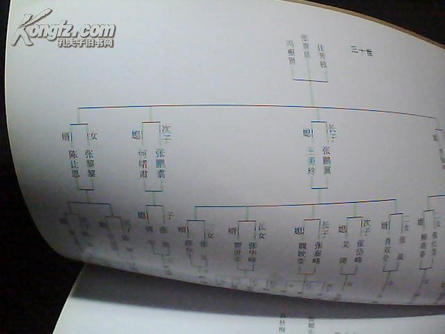 汉薛镇人口_人口普查(3)