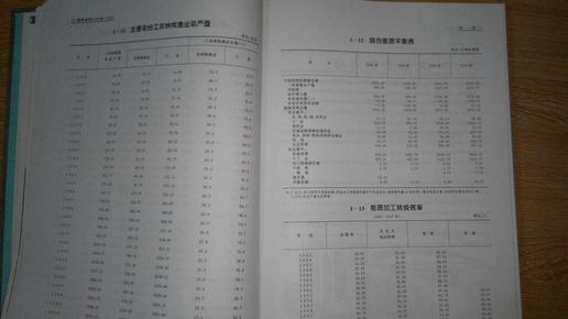 福建人口统计年鉴_中国人口统计年鉴1999(3)