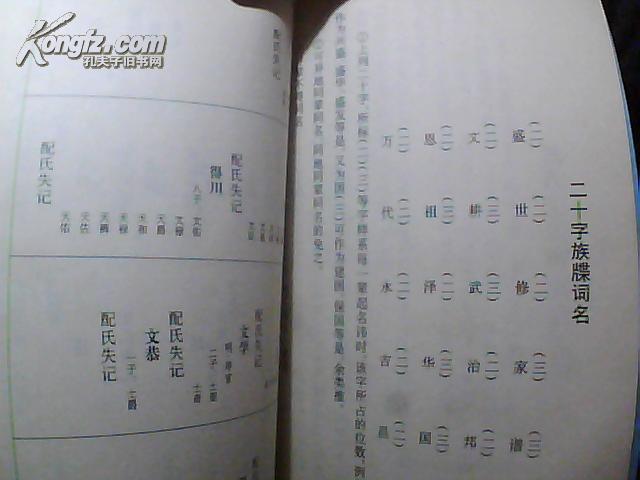 (山西省乡宁县)杨氏家谱