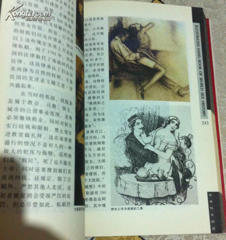 世界性史图鉴 (全彩图,刘达临著)一版一印