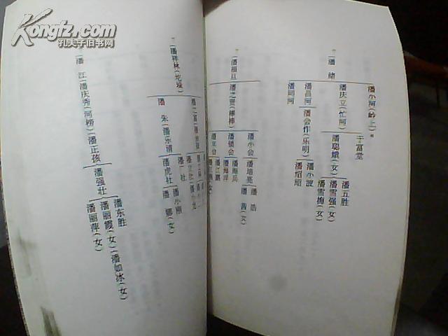 (山西省沁水县郑村镇)潘节村村史(附:潘氏家谱)
