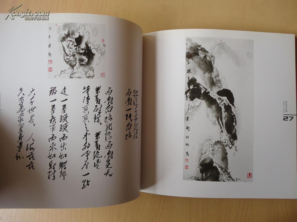 厚册 北京市十杰艺术家 《叶建新新水墨大写意山水小品集》品好 见图图片