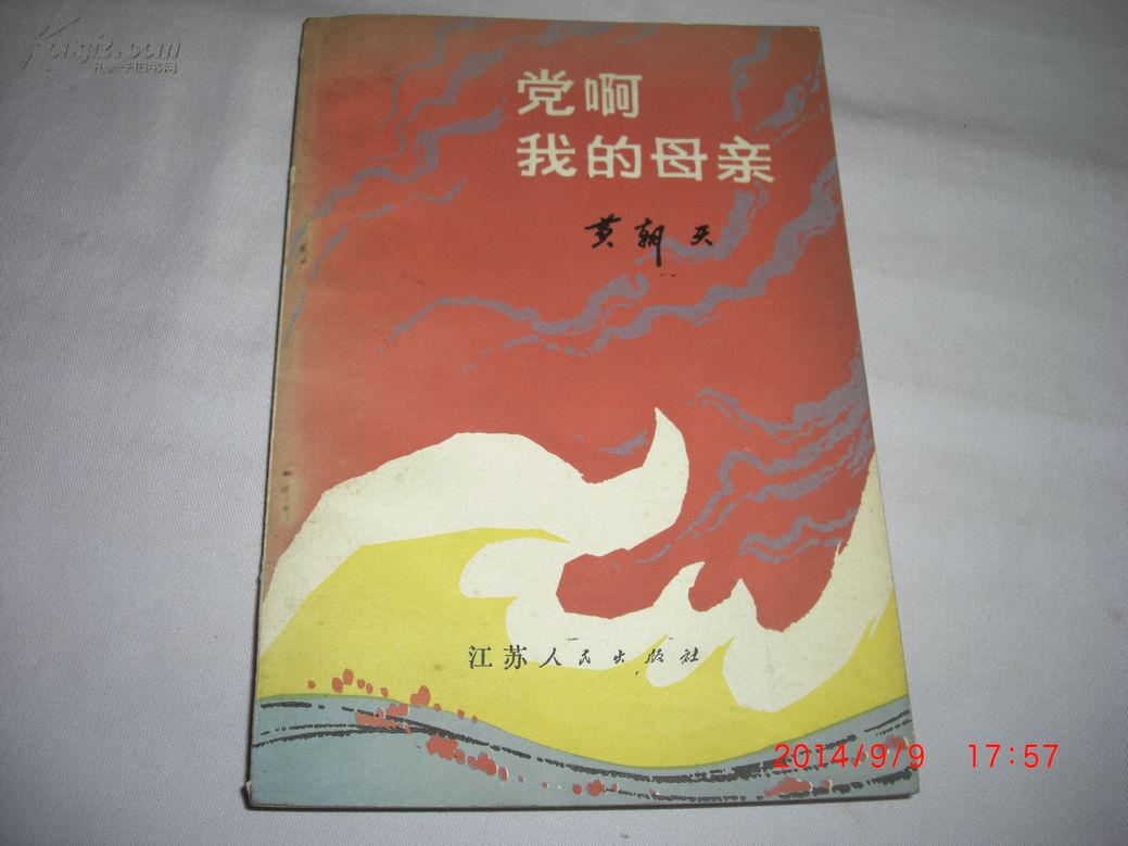 党啊我的母亲