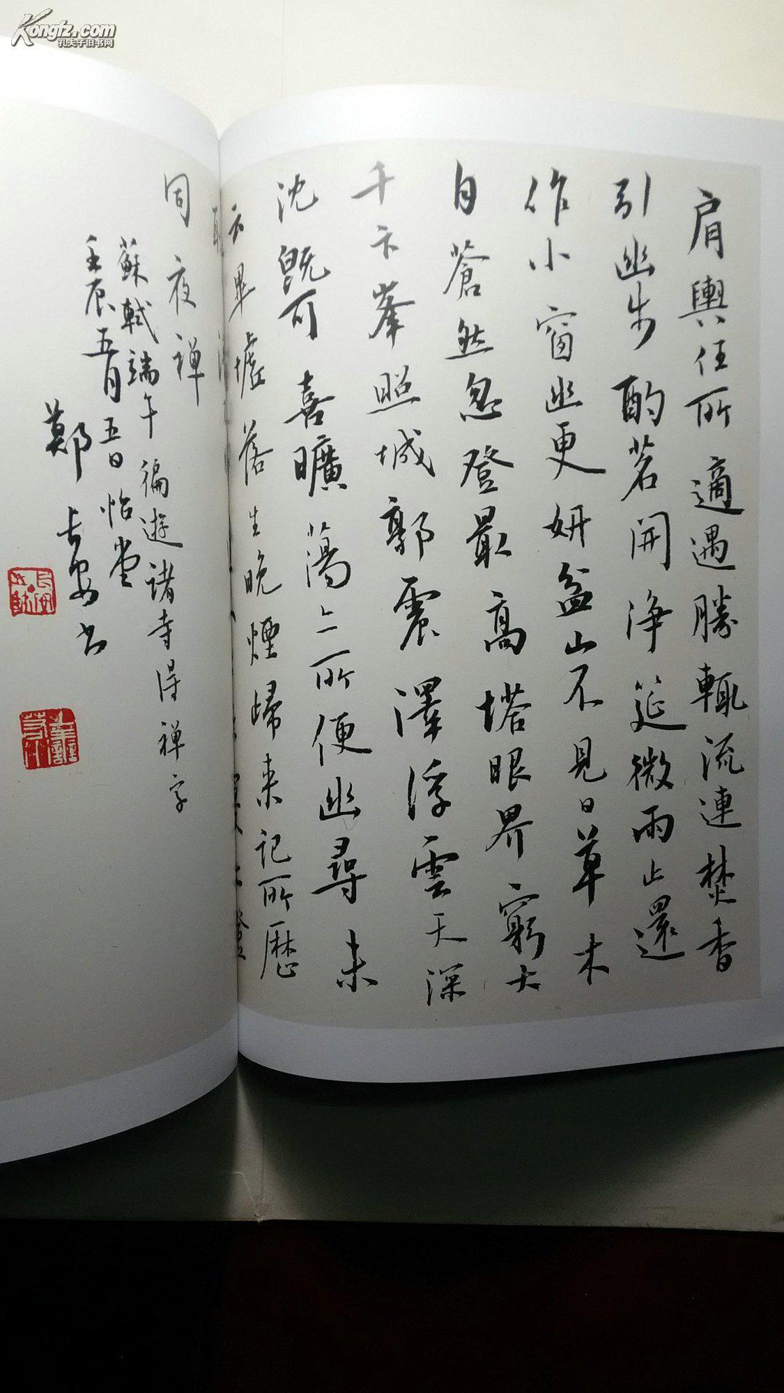 郑长安书法集