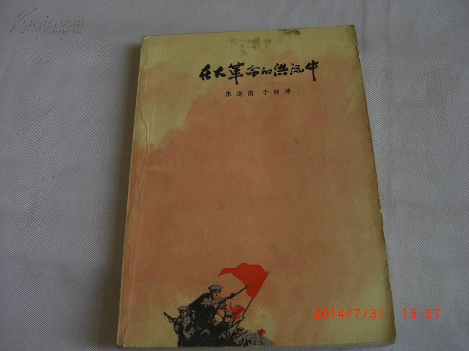 在大革命的洪流中