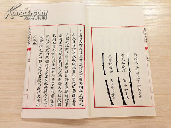 书画类 《竹谱》1函5册 包背装