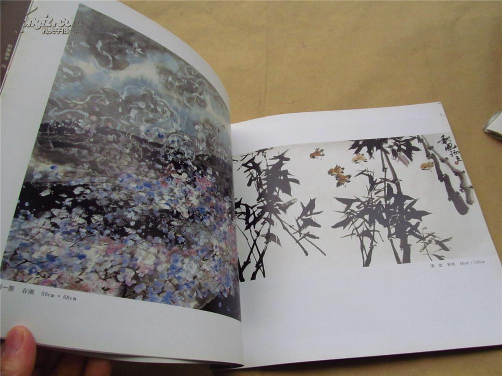 湖北书画院中国书画作品集
