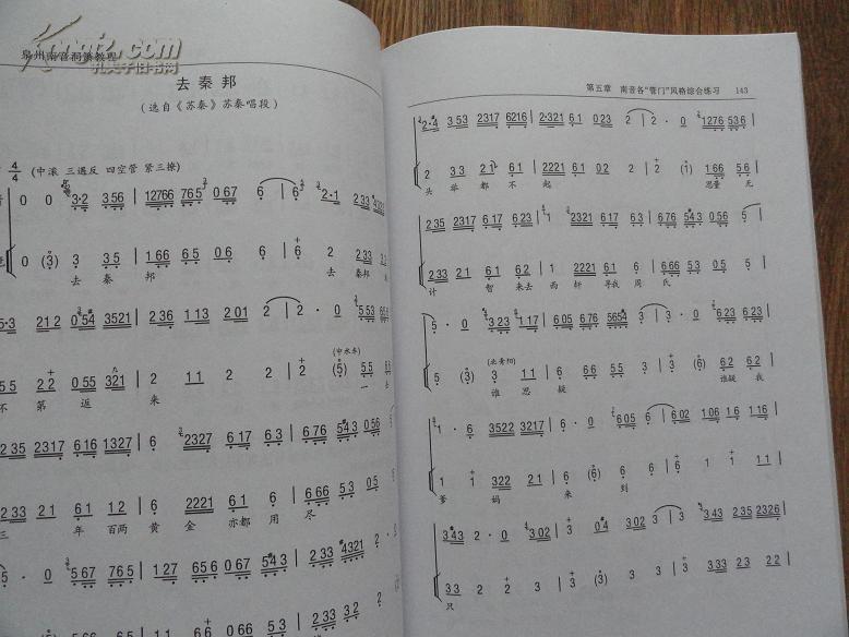 正版书 王大浩《泉州南音洞箫教程》 16开一版一印 9.