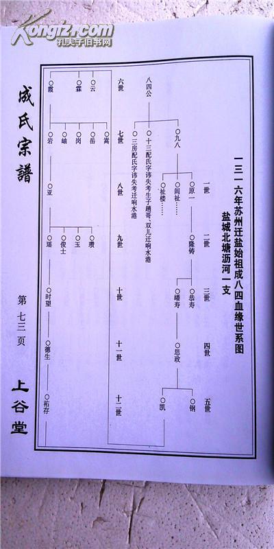 复印件成氏宗谱上谷堂盐城北塘沥河原一公支大16开390页2012年版