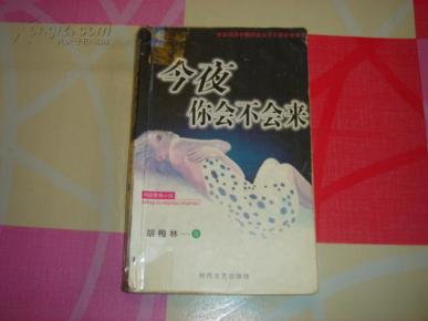 今夜你会不会来:网络爱情小说