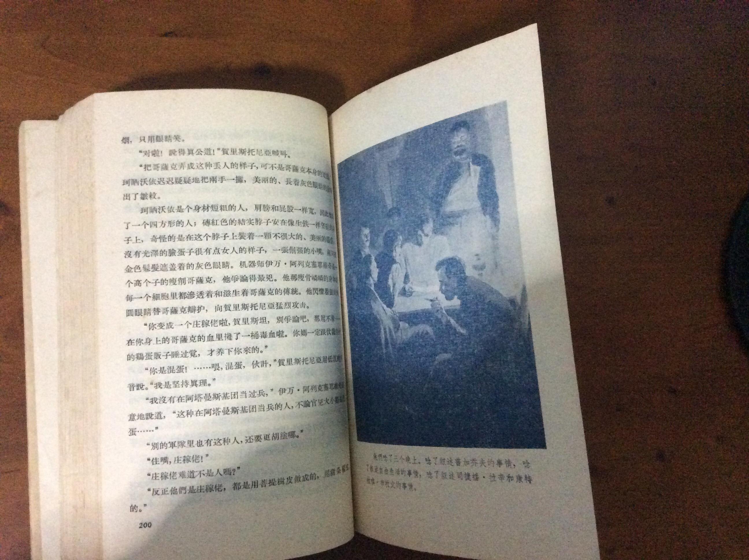 静静的顿河(第一部) 1956年多插图版